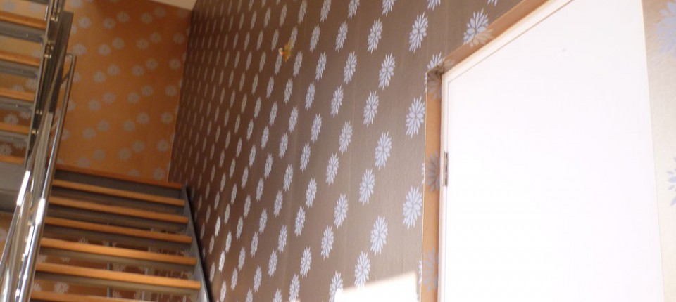 Wallpaper installation in Sydney
